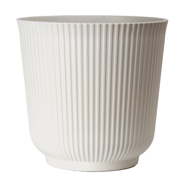 【THEAIRTOWN】 central tree cotton pt ★2color CTi Living